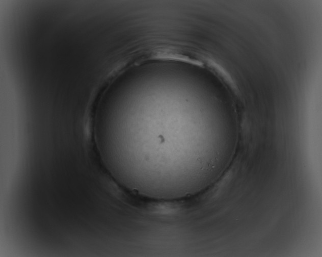X0000100400305200806061322