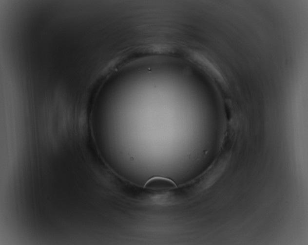 X0000100400306200806061322
