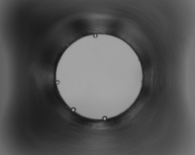X0000100400309200806061322