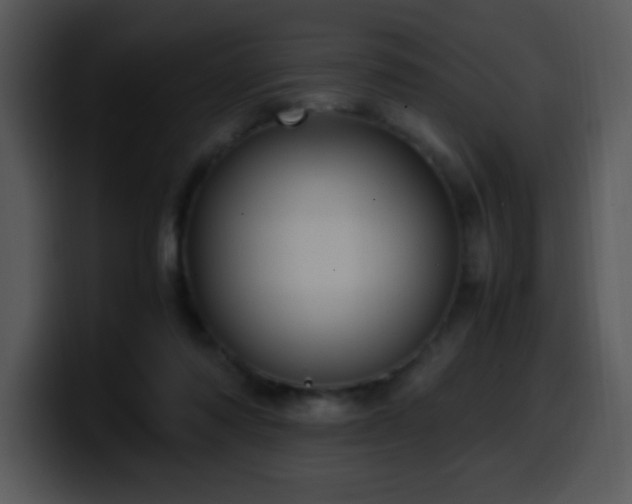 X0000100400310200806061322