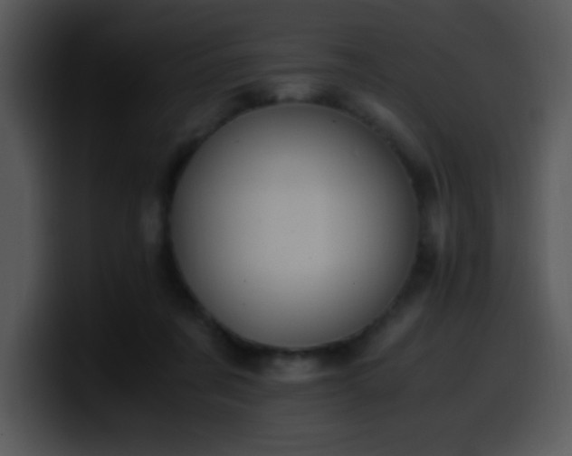 X0000100400311200806061322