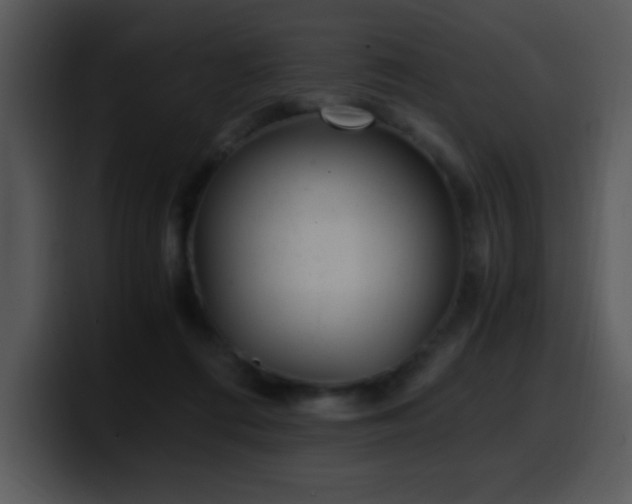X0000100400312200806061322