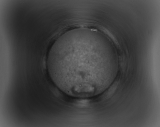 X0000100400313200806061322