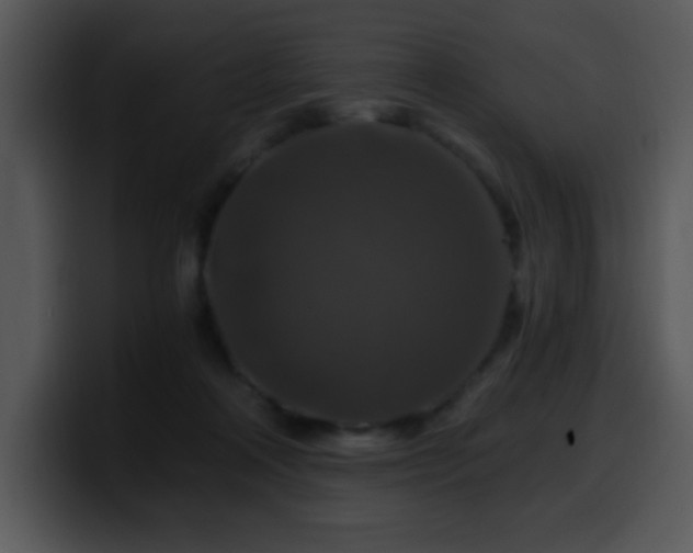 X0000100400314200806061322