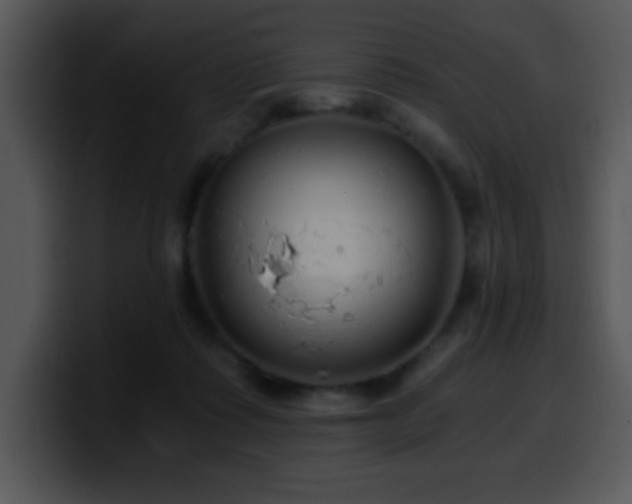 X0000100400315200806061322