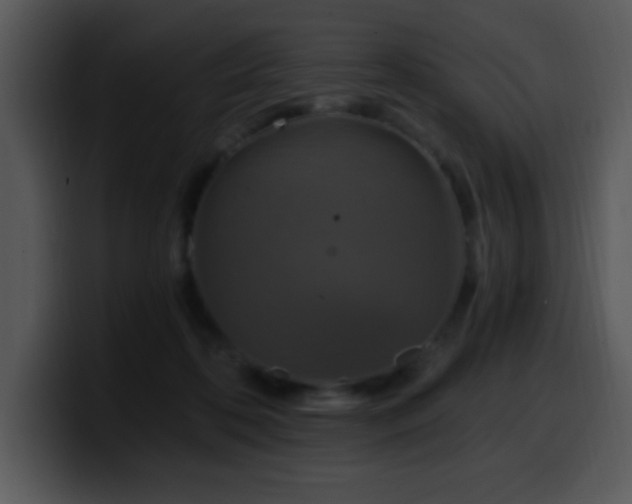 X0000100400316200806061322