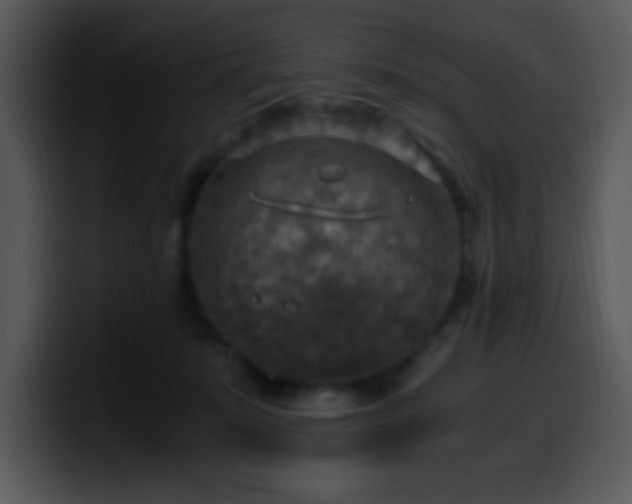 X0000100400319200806061322