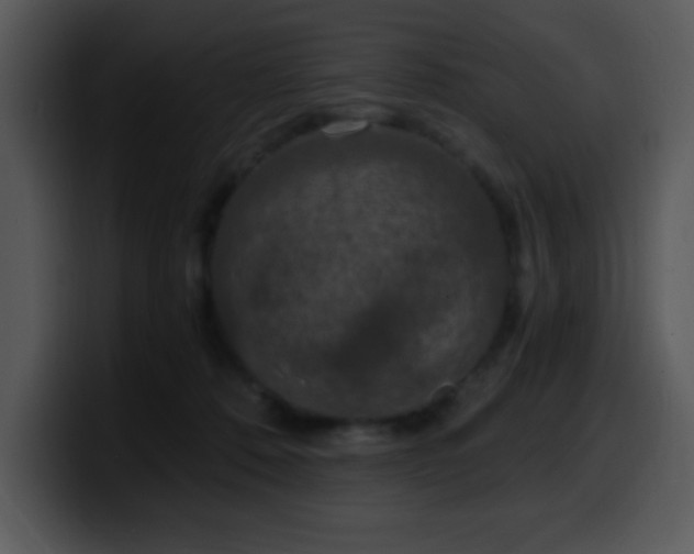 X0000100400320200806061322