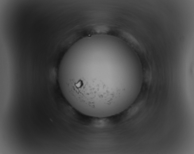 X0000100400321200806061322
