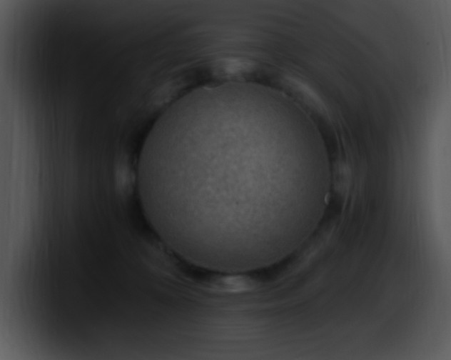 X0000100400324200806061322