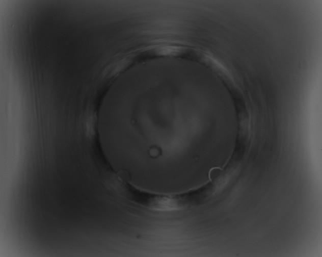 X0000100400325200806061322