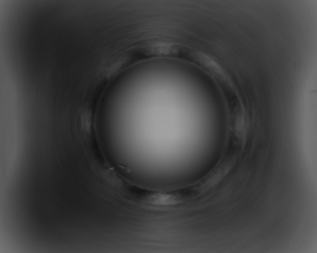 X0000100400326200806061322