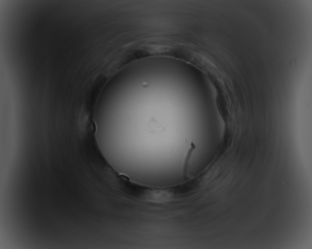 X0000100400327200806061322