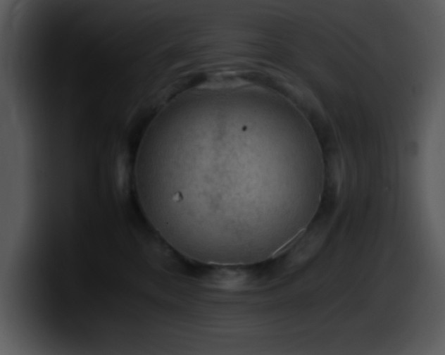 X0000100400328200806061322