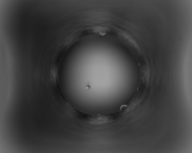 X0000100400329200806061322