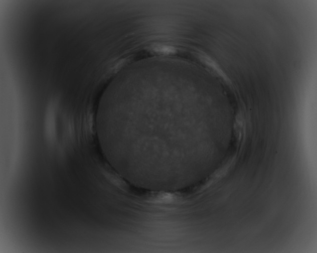 X0000100400330200806061322