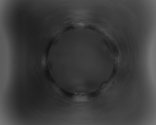 X0000100400331200806061322
