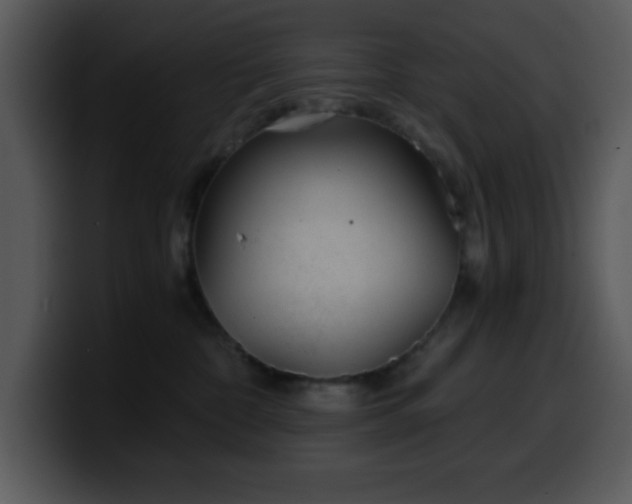 X0000100400332200806061322