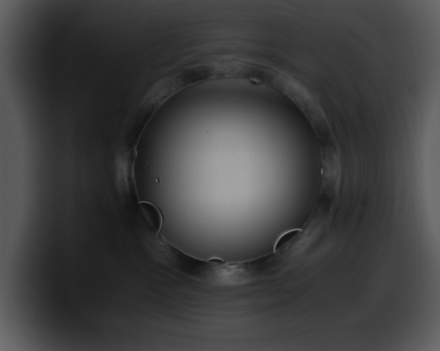 X0000100400333200806061322