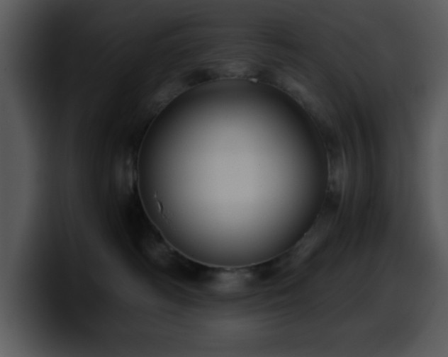X0000100400334200806061321
