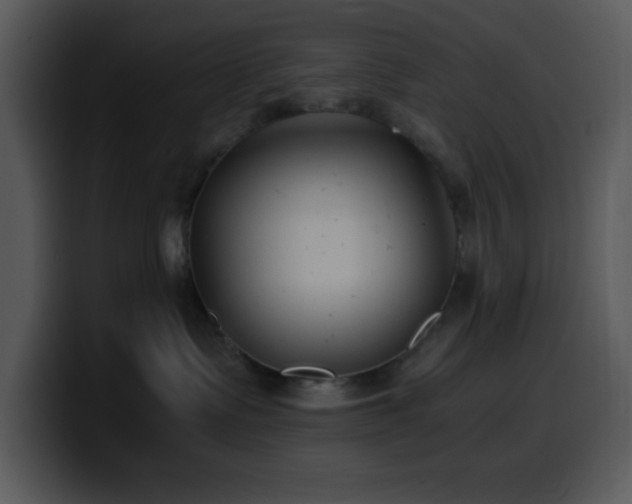 X0000100400335200806061321