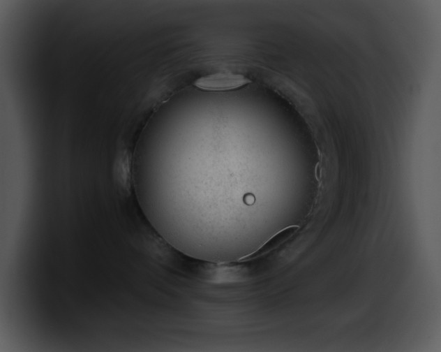 X0000100400336200806061321