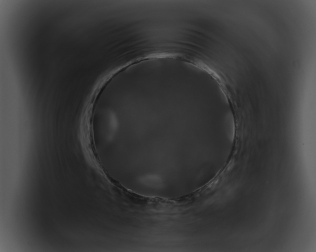 X0000100400337200806061321