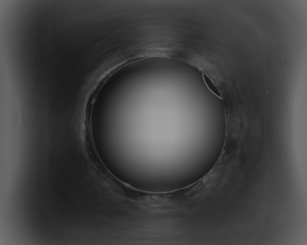 X0000100400338200806061321