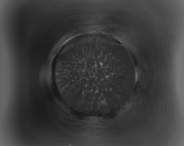 X0000100400339200806061321