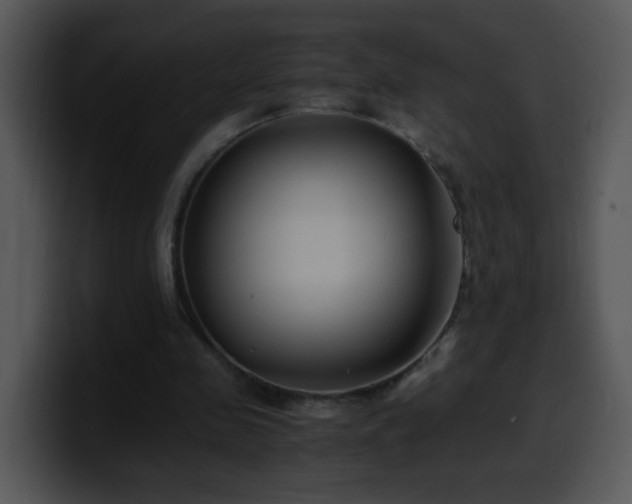 X0000100400341200806061321
