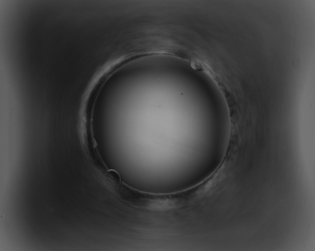X0000100400342200806061321