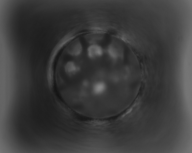 X0000100400343200806061321