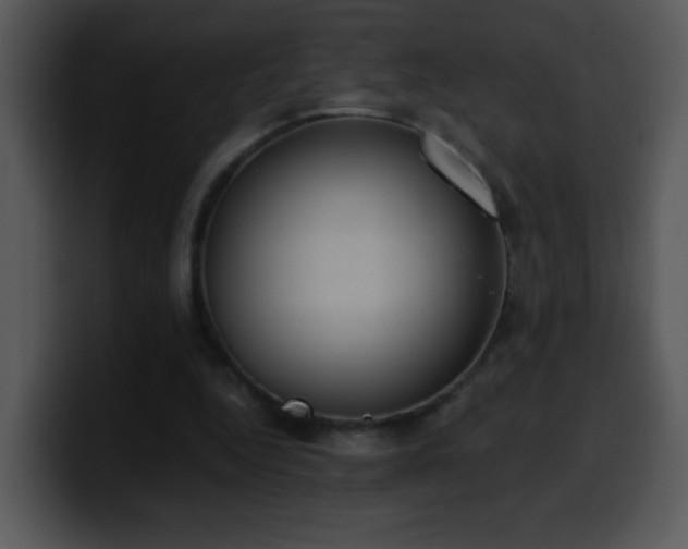 X0000100400344200806061321