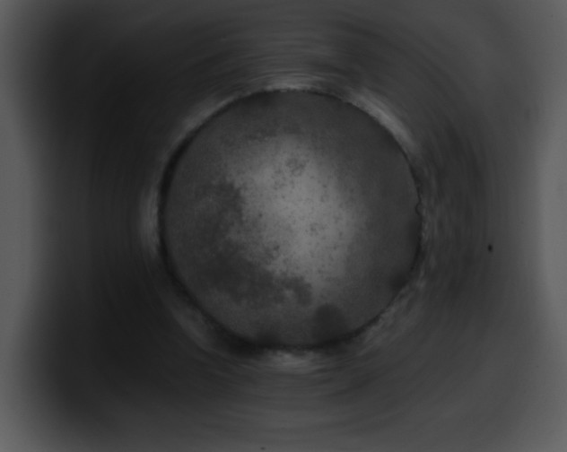 X0000100400346200806061321
