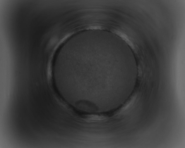 X0000100400347200806061321