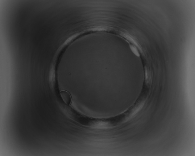 X0000100400348200806061321