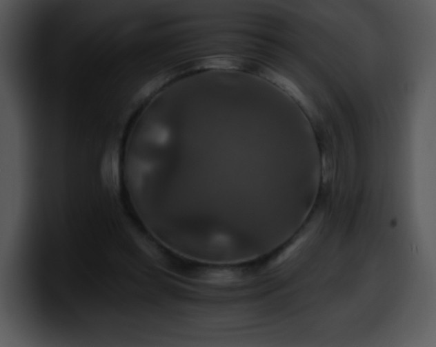 X0000100400349200806061321