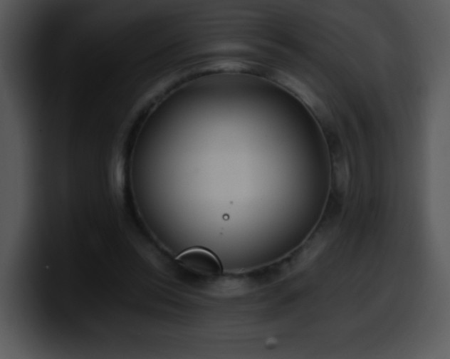 X0000100400350200806061321