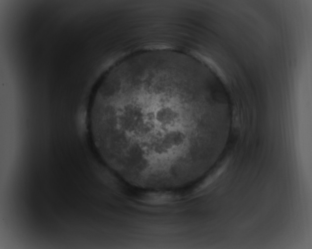 X0000100400351200806061321