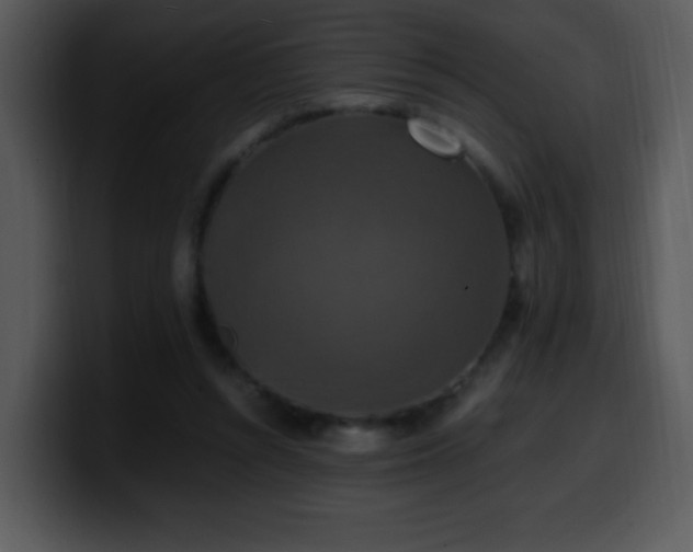 X0000100400352200806061321
