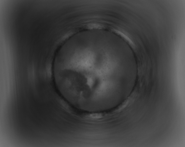 X0000100400353200806061321