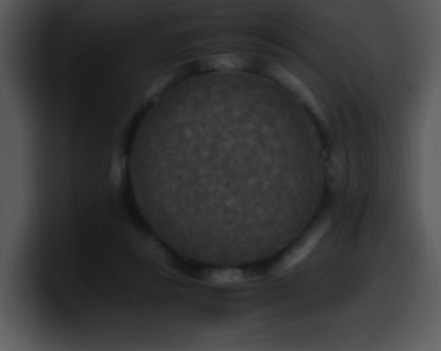 X0000100400355200806061321