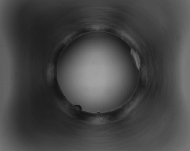 X0000100400356200806061321