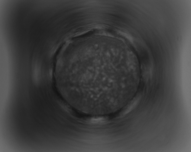 X0000100400357200806061321