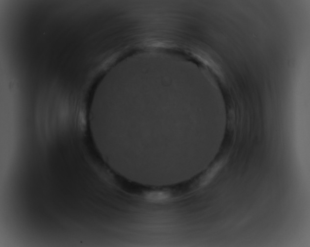 X0000100400358200806061321