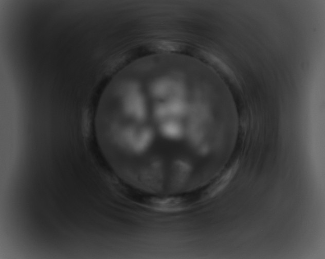 X0000100400359200806061321