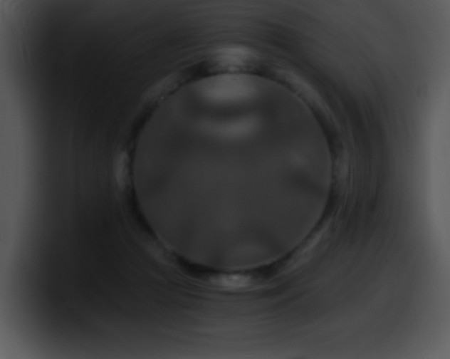 X0000100400361200806061321