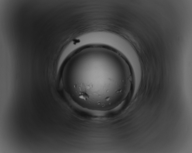 X0000100400362200806061321