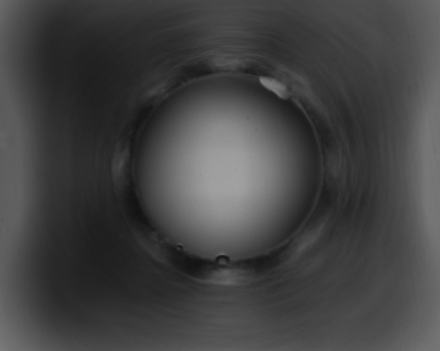 X0000100400364200806061321
