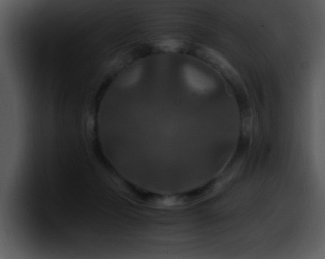 X0000100400365200806061321